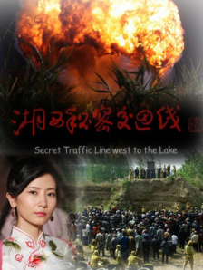 阿拉斯加北极熊2020